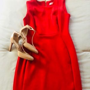 Classy and Sassy Calvin Klein red dress.